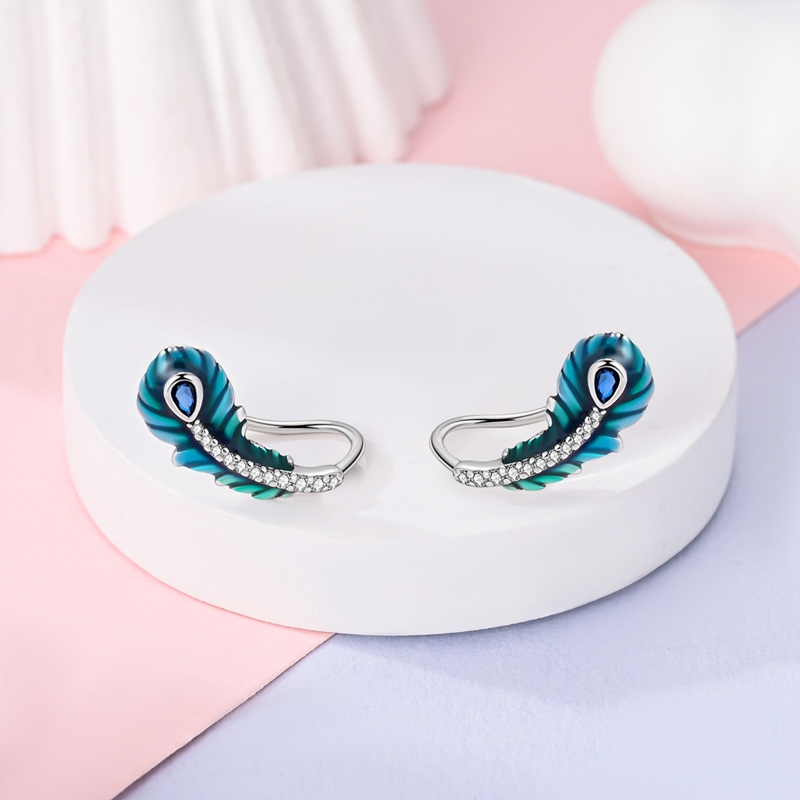 Women's S925 Hypoallergenic Classic Hoop Earrings